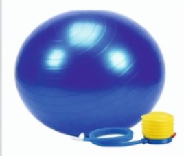 Roots Yoga Products - Latest update - Gym Ball Manufacturer in Bangalore